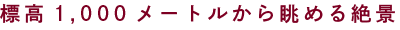 標高1,000メートルから眺める絶景