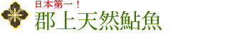 日本第一！ 郡上天然鮎魚