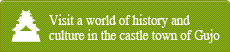 Visit a world of history and culture in the castle town of Gujo