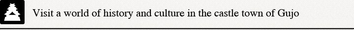 Visit a world of history and culture in the castle town of Gujo