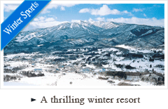 A thrilling winter resort