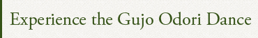 Experience the Gujo Odori Dance