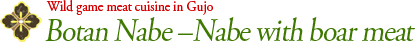 Wild game meat cuisine in Gujo Botan Nabe – Nabe with boar meat