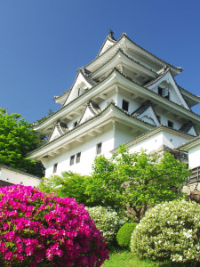 郡上八幡城　新緑　天空　５月