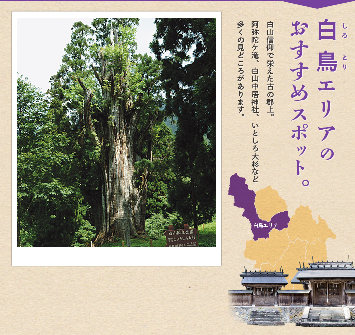 大和エリアおすすめのスポット