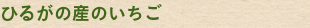 ひるがの産のいちご