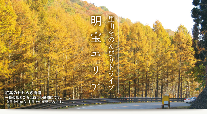 里山をのんびりドライブ／明宝エリア