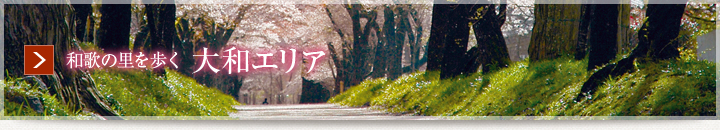 大和エリア