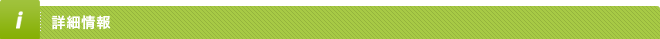 詳細情報