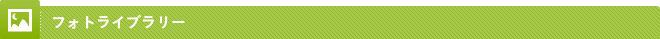フォトライブラリー