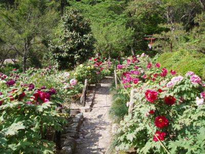 郡上トピックス写真